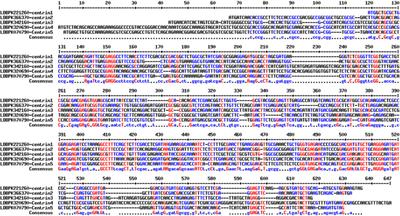 In silico identification of human microRNAs pointing centrin genes in Leishmania donovani: Considering the RNAi-mediated gene control